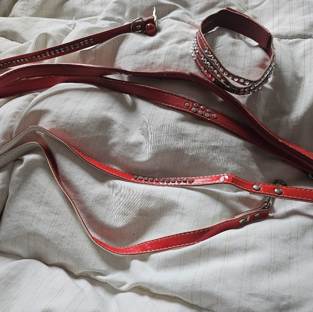 2 Red Dog Collars And 2 Red Dog Leashes
